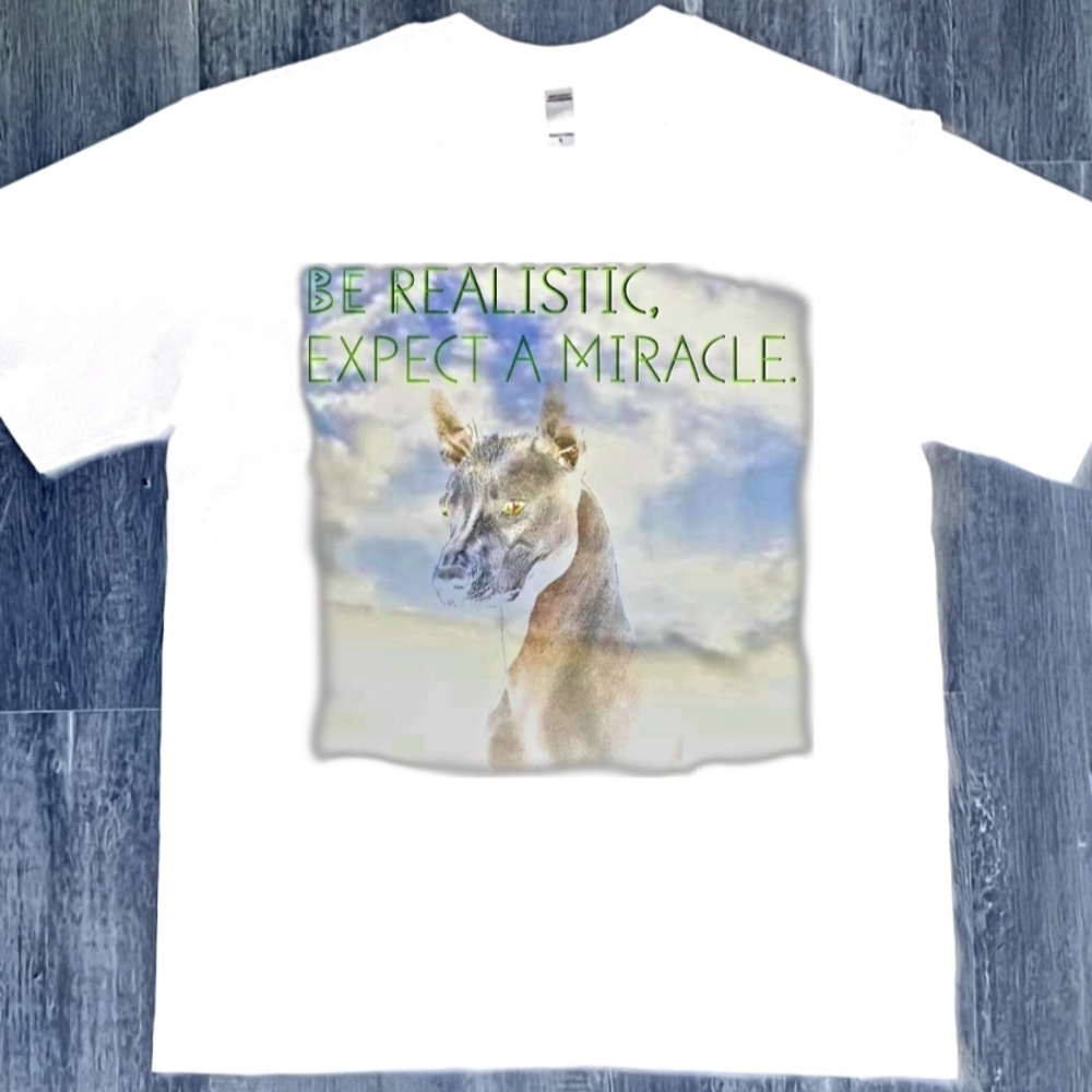 Be Realistic Expect a Miracle White Graphic Tee